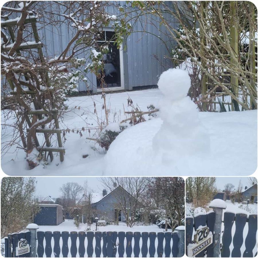 Donner Hollenstedt